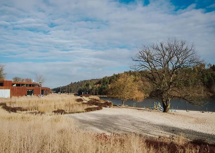 Familienurlaub Im Wald Am Twistesee 105 Nur 300 M Zum - Grill & Waschmaschine & Hundefreundlich - Twistesee-ferien Nyaraló Bad Arolsen